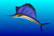 Sailfish jumping out of water. Realistic vector illustration.