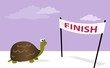 Slow, but sure. Cartoon tortoise at the finish line, vector illustration, no transparencies