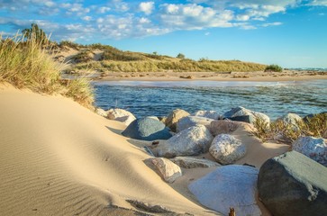 Wall Mural - Sand Dune Beach Background.  Sand dunes along the pristine shores of Lake Michigan. Ludington State Park. Ludington, Michigan.