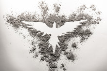Phoenix Drawing Made In Ash