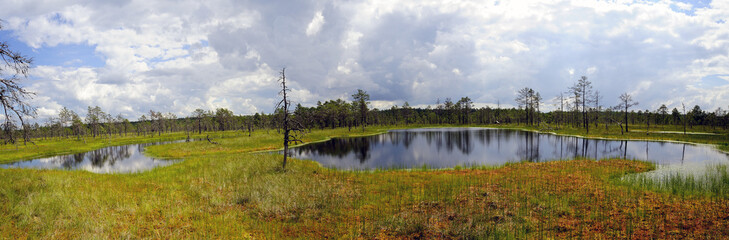 Canvas Print - Hochmoor Viru Raba / Estland
