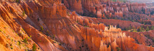 Panorama Of The Spires Of Bryce Canyon At Sunset