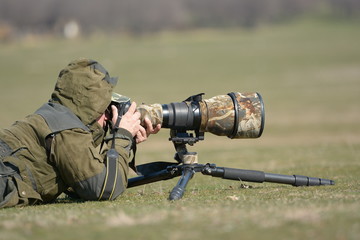 Wall Mural - wildlife photographer outdoor in action