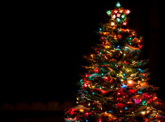 snow covered christmas tree with multi colored lights
