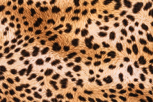 Texture Of Print Fabric Stripes Leopard