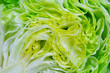 Health Benefits of Lettuce 
