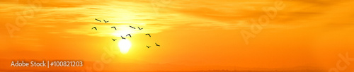 Plakat złoty zachód słońca w panoramica