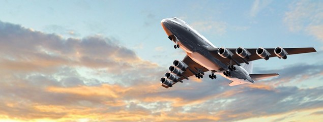 Wall Mural - Modern Passenger airplane in flight 