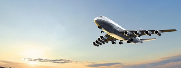 Wall Mural - Modern Passenger airplane in flight 