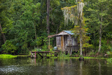Old House In A Swamp In New Orleans