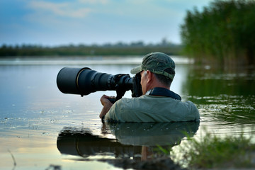 Wall Mural - wildlife photographer outdoor in action