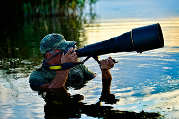 Wall Mural - wildlife photographer outdoor in the pond