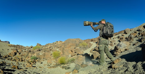 Wall Mural - wildlife photographer outdoor in summer