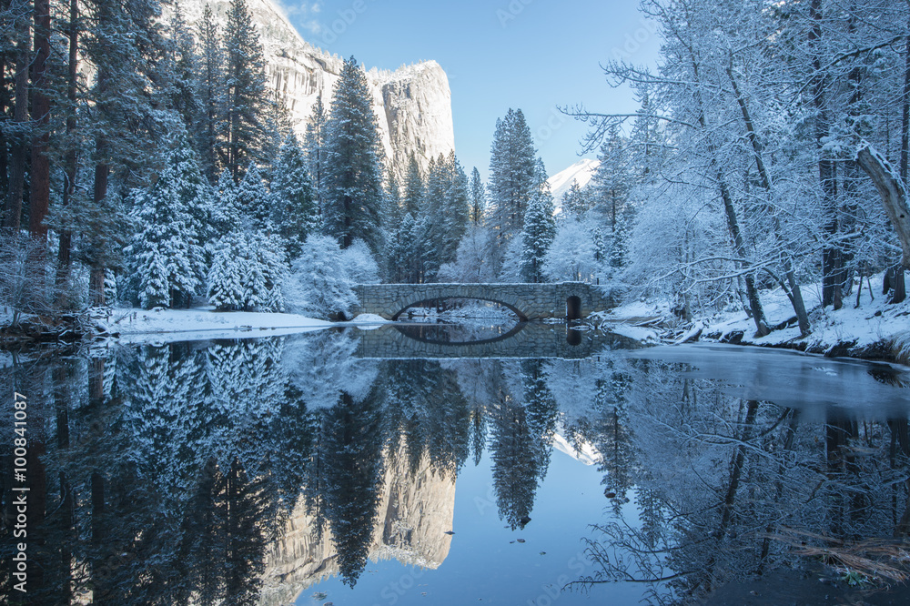 winter reflection of the trees in yosemite national park Stock Photo ...