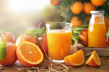 Wall Mural - Glass of orange juice on a wooden in field