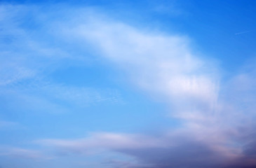 Wall Mural - abstract background with defocused beautiful colorful flame clouds which looks like a bird  in the sky