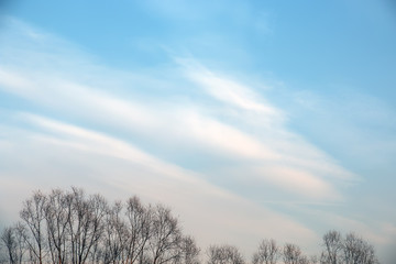Wall Mural - abstract background with bokeh defocused beautiful flame clouds in the sky
