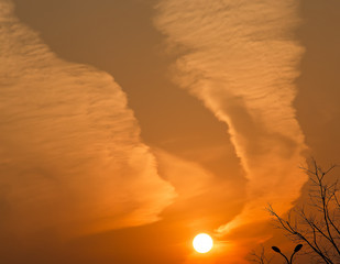 Wall Mural - abstract background with defocused beautiful colorful flame clouds in the sky during sunset