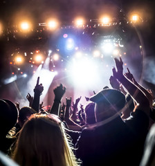 Wall Mural - cheering crowd at a rock concert