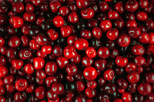 Background Filled With Juicy Red  Berries. Cherry, Cherries
