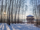 Fototapeta  - Wieża widokowa na skraju lasu w piękny pogodny zimowy mroźny dzień