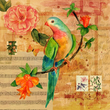 Vintage Collage With Sheet Music, Butterfly, Bird, Roses, Letter And Stamps
