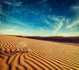 Fototapete - Dunes of Thar Desert, Rajasthan, India
