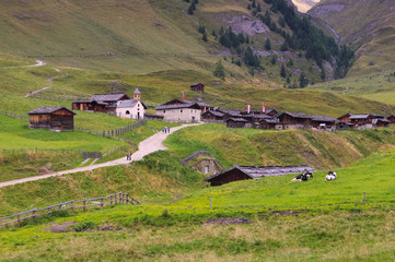 Canvas Print - Fane Alm - Fane Alp in Italy