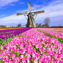 Wall Mural - traditional Holland countryside - windmills and tulips