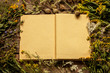 Blank opened book with late summer natural meadow flowers and plants around. Layout with free text space, captured from above. Vintage wooden background, nature elements - rustic style.