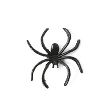 Fake Rubber Spider Toy Isolated