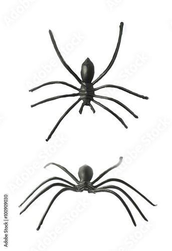buy fake spider