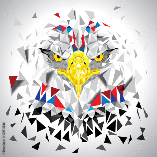 Naklejka na szybę Low polygon Eagle illustration vector