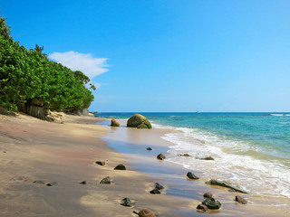 Wall Mural - Greens at the empty beach in Weligama bay, Sri Lanka