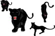 Black panters set. Isolated on white vector illustration