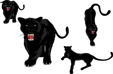 Wall Mural - Black panters set. Isolated on white vector illustration