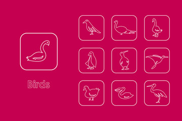 Sticker - Set of birds simple icons