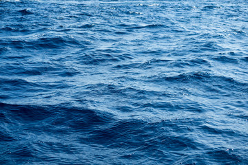 Poster - Blue Seascape