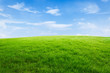 © ABCDstock - Field of green grass and blue sky