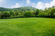 © ABCDstock - Natural scenery of green grass and blue sky