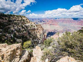 Wall Mural - grand canyon national park, arizona, usa