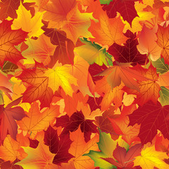 Wall Mural - Autumn texture. Wallpaper with maple leaves. Fall seamless pattern