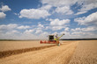 modern combine (harvester)  harvesting on wheat field