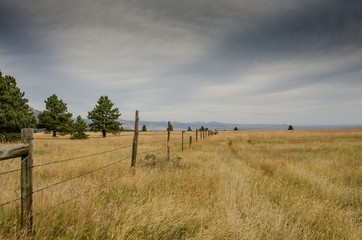 Wall Mural - Old Barbed Wire Fence in Dry Field