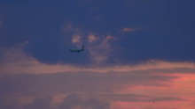 Boeing 737 Landing At Sunset In The City