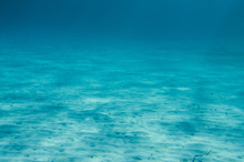 Ocean Floor Underwater
