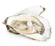 canvas print picture - Oyster with pearl close-up isolated on a white background.
