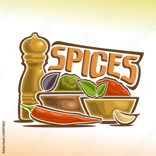 Obraz w ramie Vector illustration on the theme of spices