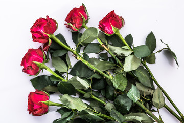 Wall Mural - Red roses bouquet on white background. Flowers background.