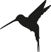 Hummingbird Silhouette